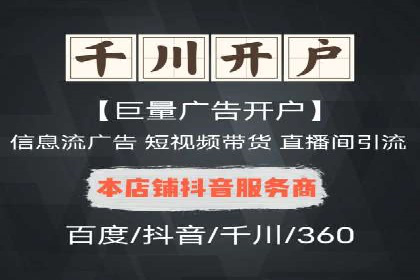 竞价托管与SEO结合的案例分析